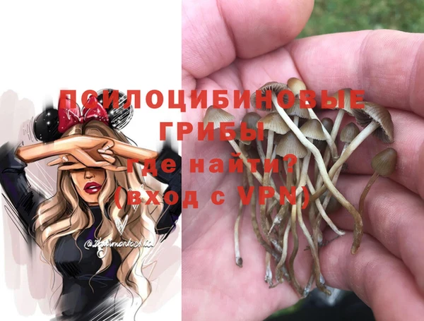 дживик Алексин