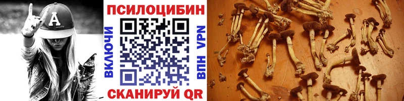 Псилоцибиновые грибы Psilocybine cubensis  хочу   Артём 